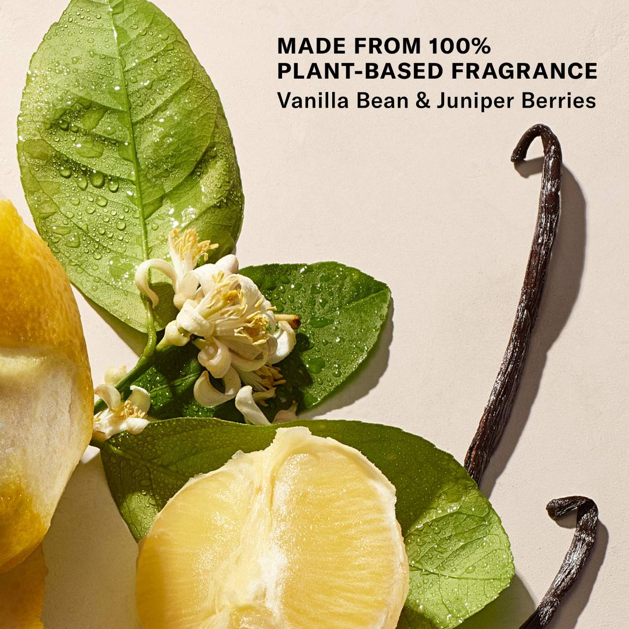 Josie Maran Vanilla Vibezzz